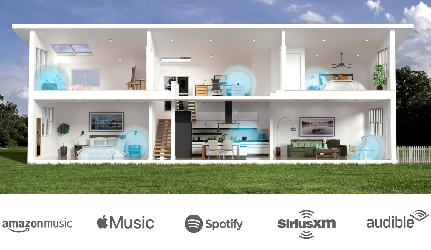 Echo Dot (4th Gen) | Smart speaker with clock and Alexa