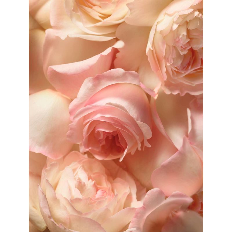 RALPH LAUREN Romance Eau De Parfume 50ML