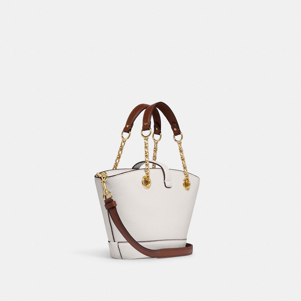 Coach Lane Bucket Leather Bag